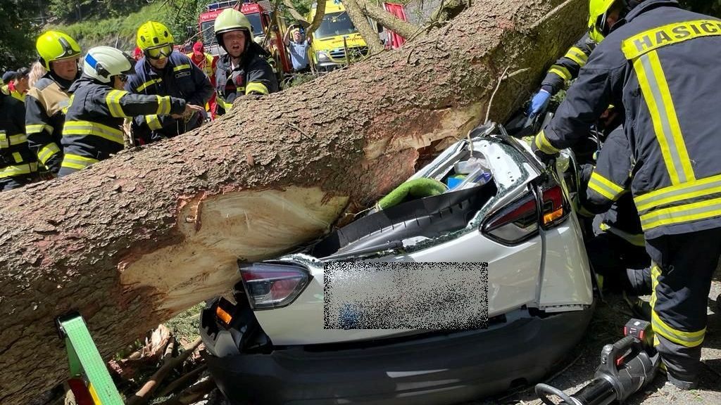 Strom v Krkonoších zabil tři lidi v autě